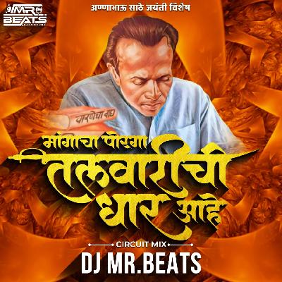 Mangacha Porga Talwarichi Dhar Ahe (Circuit Mix) Dj Mr Beats
